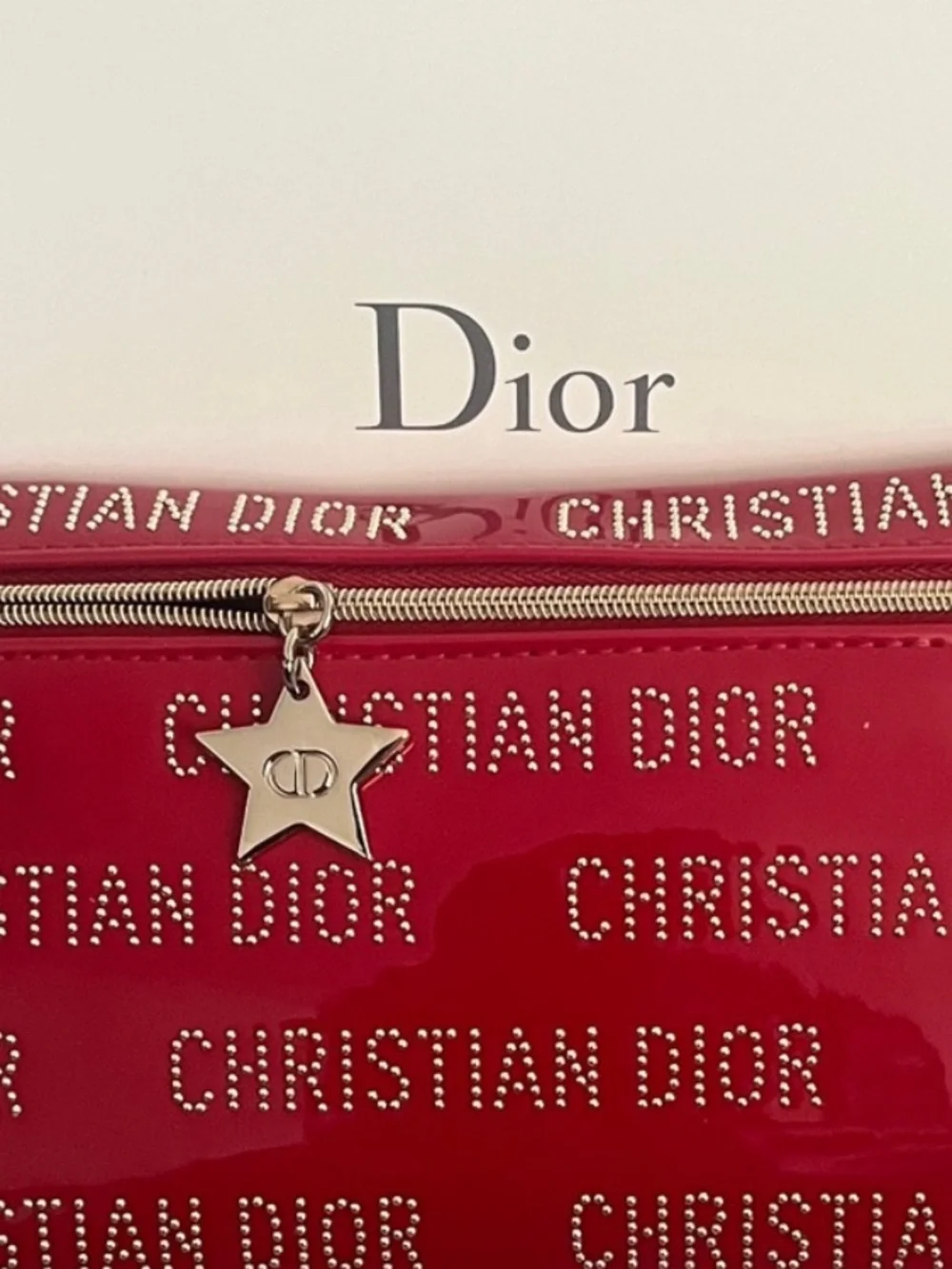 Dior signature christian