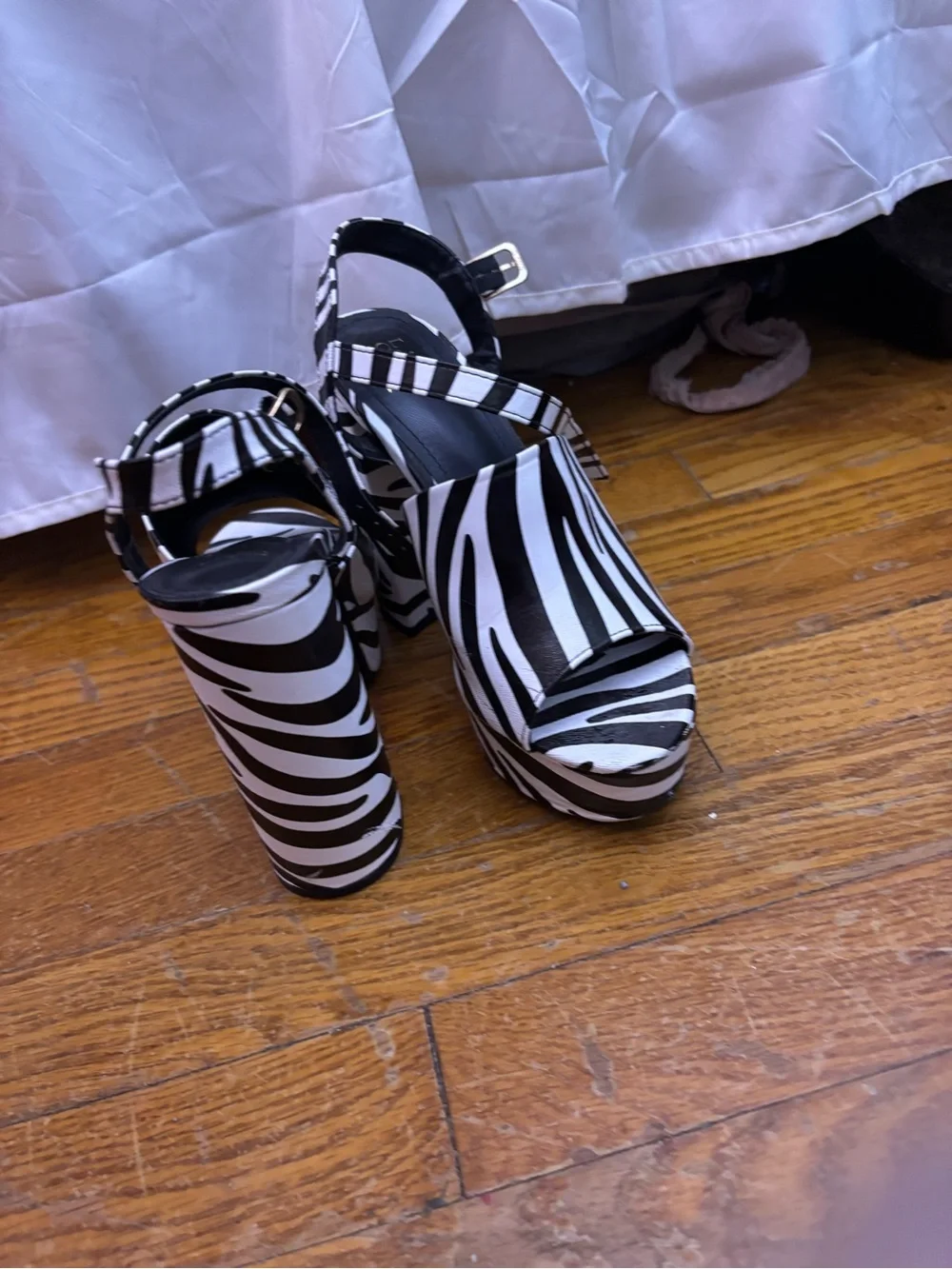 Dolls Kill bold zebra