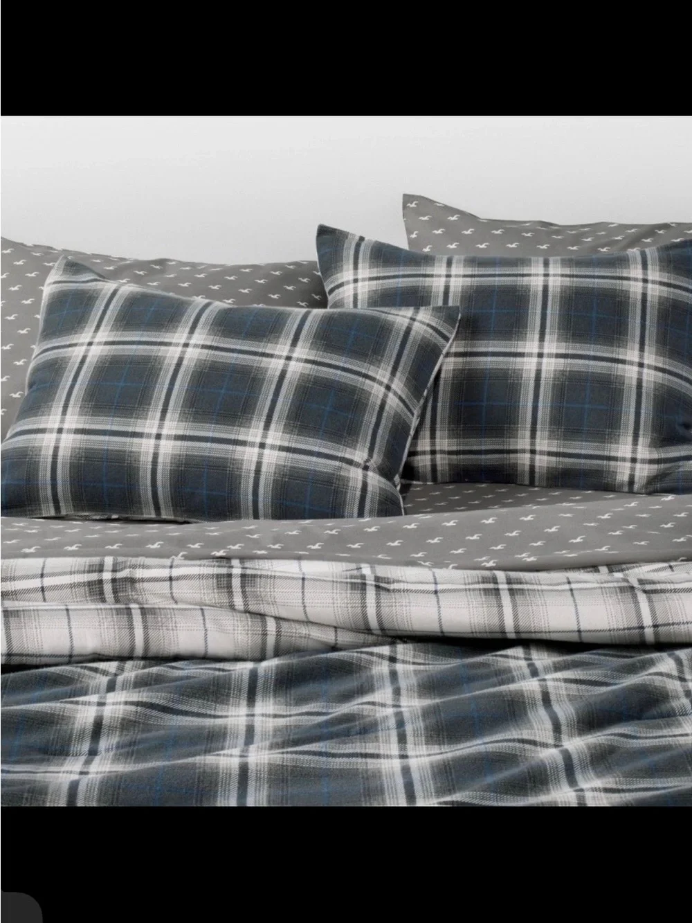 Hollister unisex dorm