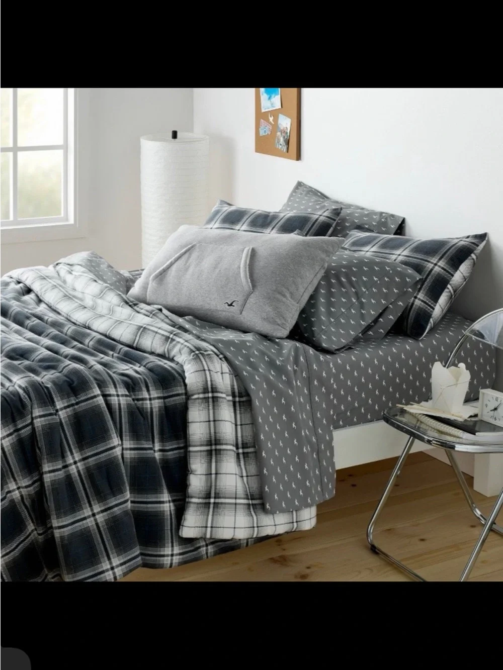 Hollister brushed this dorm