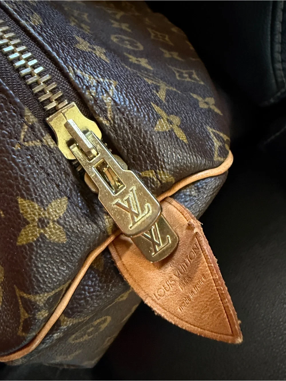 Louis Vuitton signature carry
