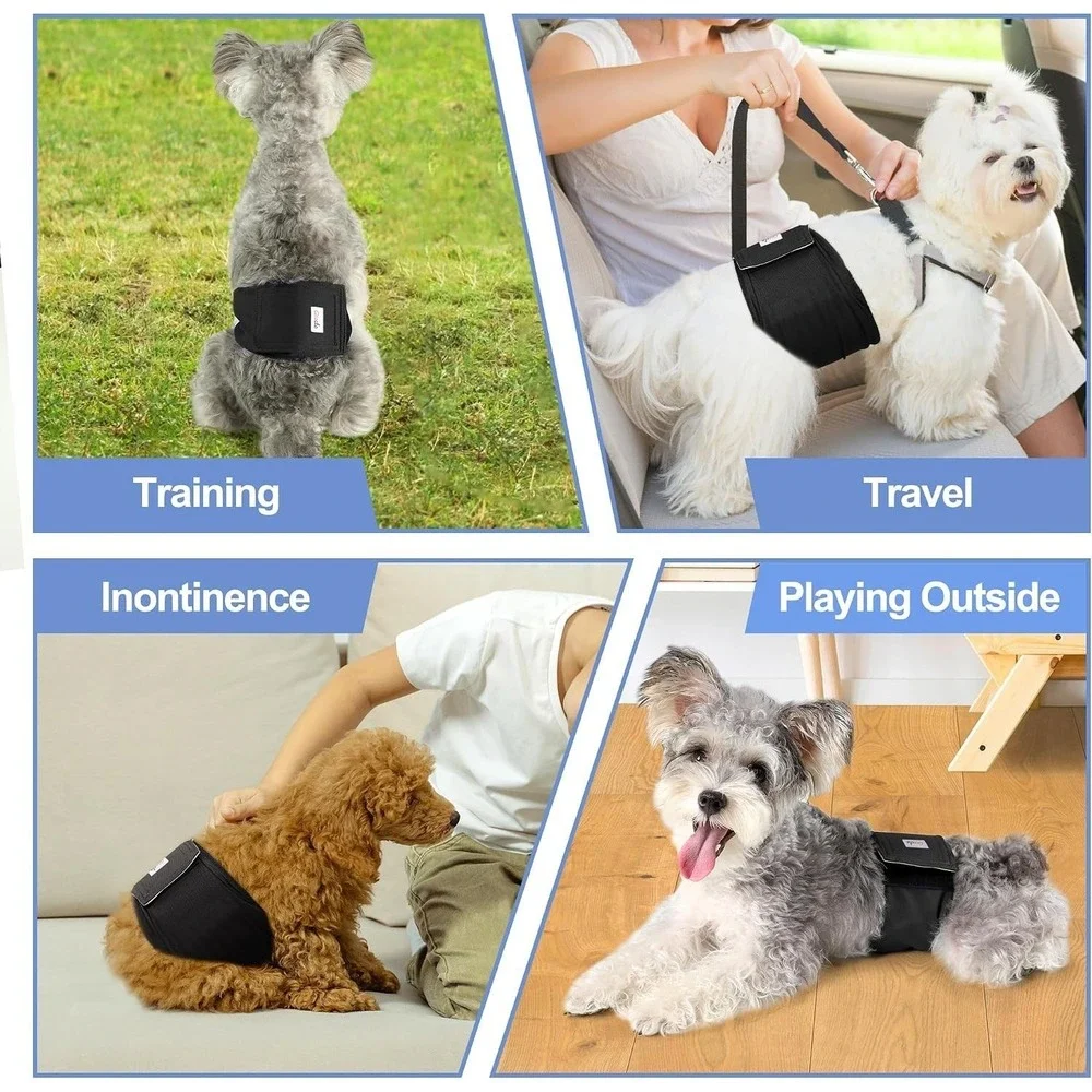 Grecle pack reusable