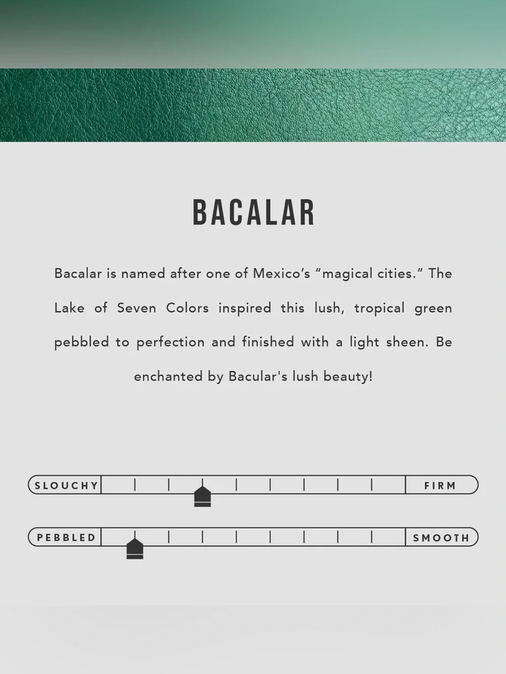 Portland Leather Bacalar Roswell Pouch Duo 🛸