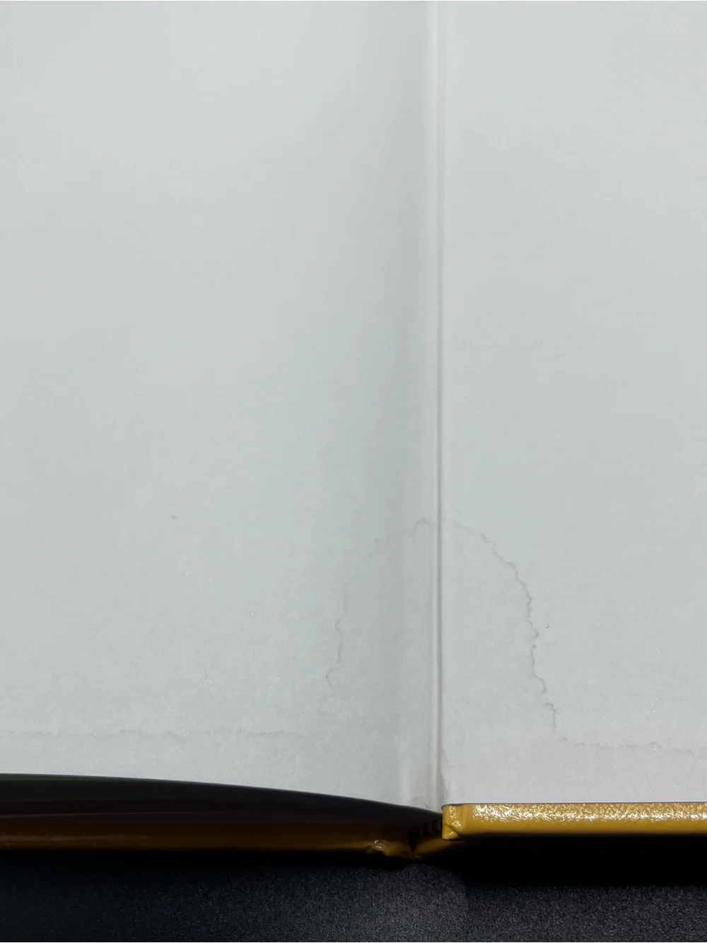 My Fun With Words these hardcover
