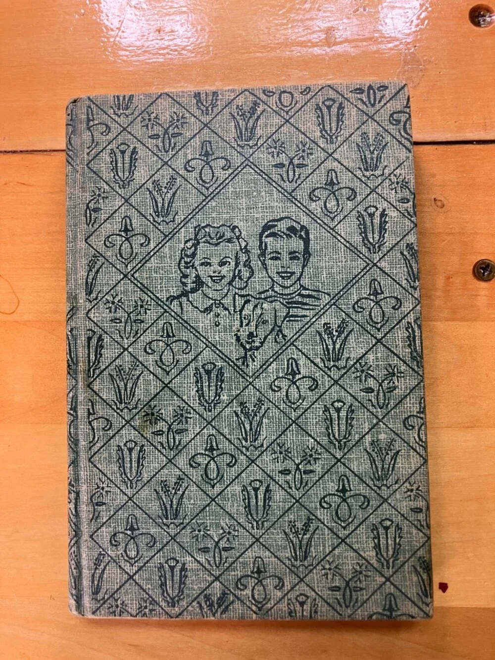 Laura Lee Hope vintage bobbsey
