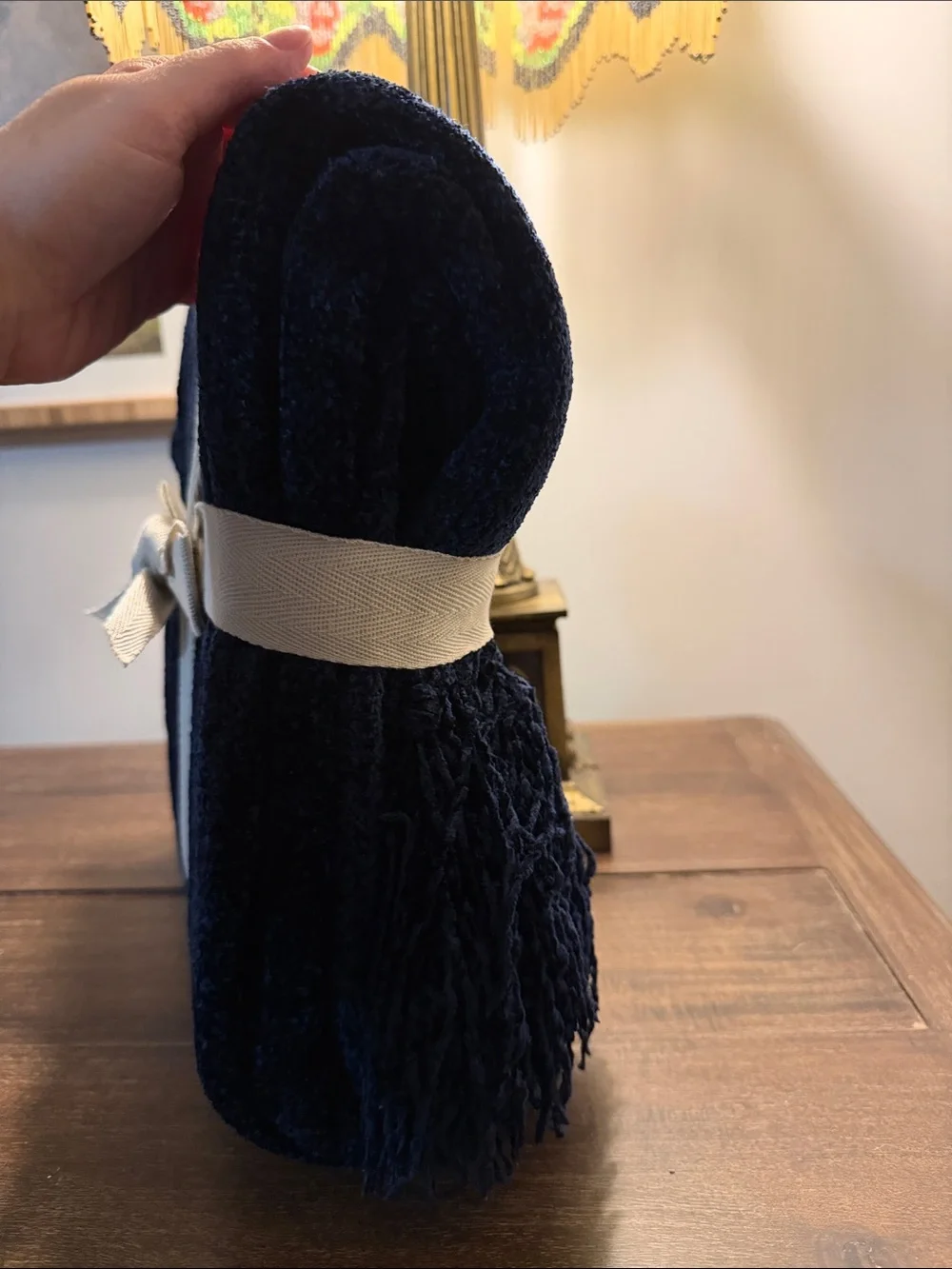 Pier 1 plush chenille