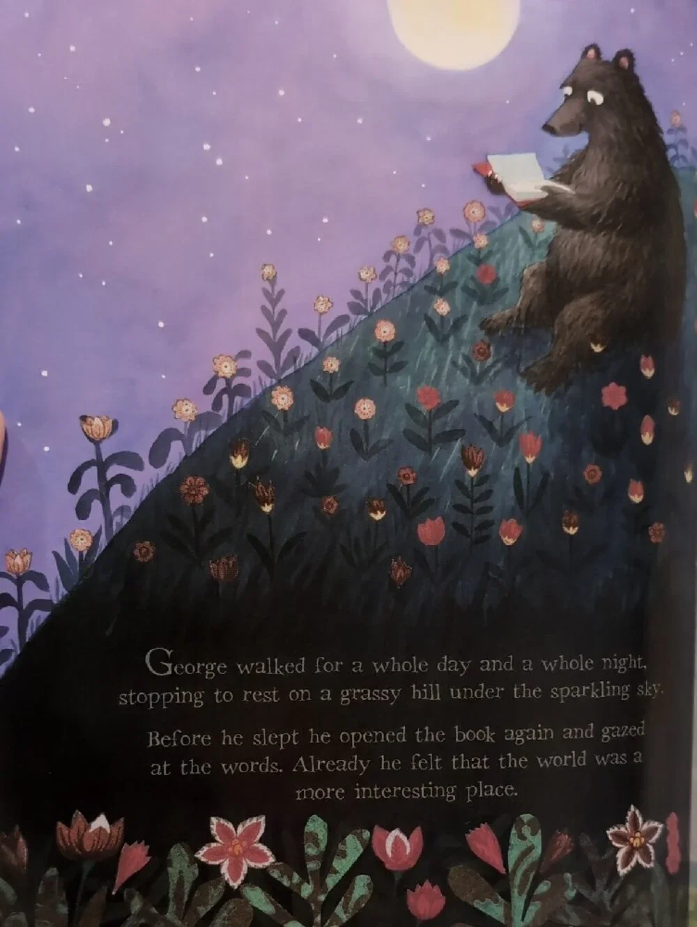 Another Book About Bears - Brown Kids Learning Book by