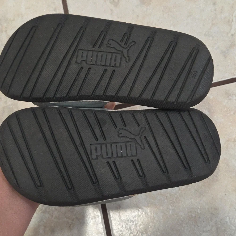 Puma size 13c
