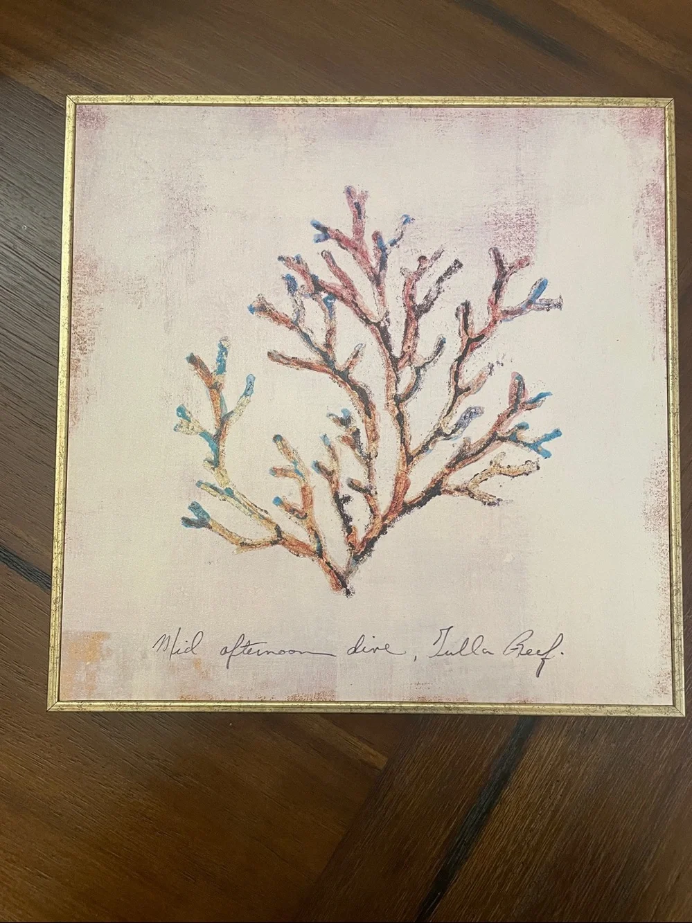 Pier 1 Coral Glicee Framed Art