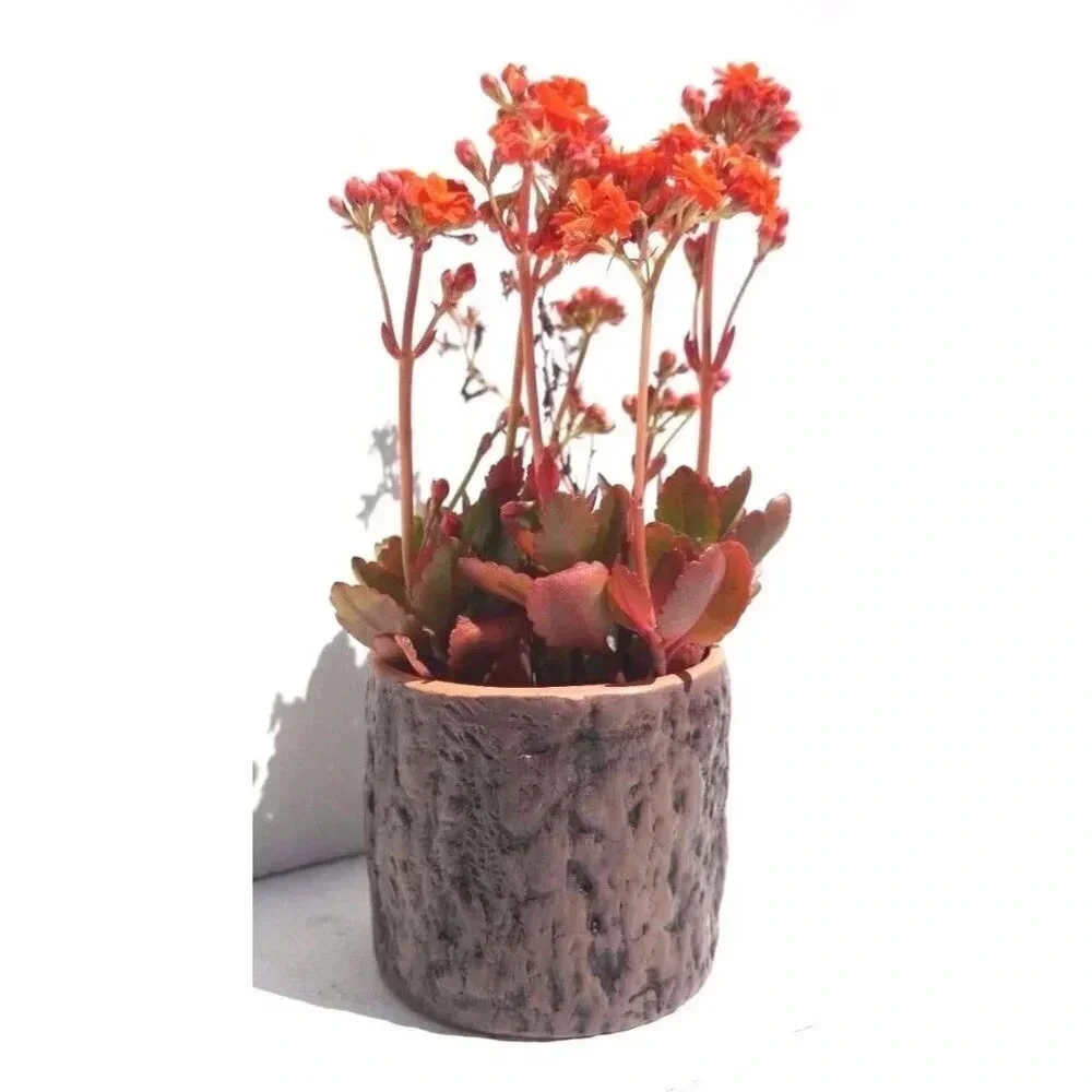 N/A new pottery