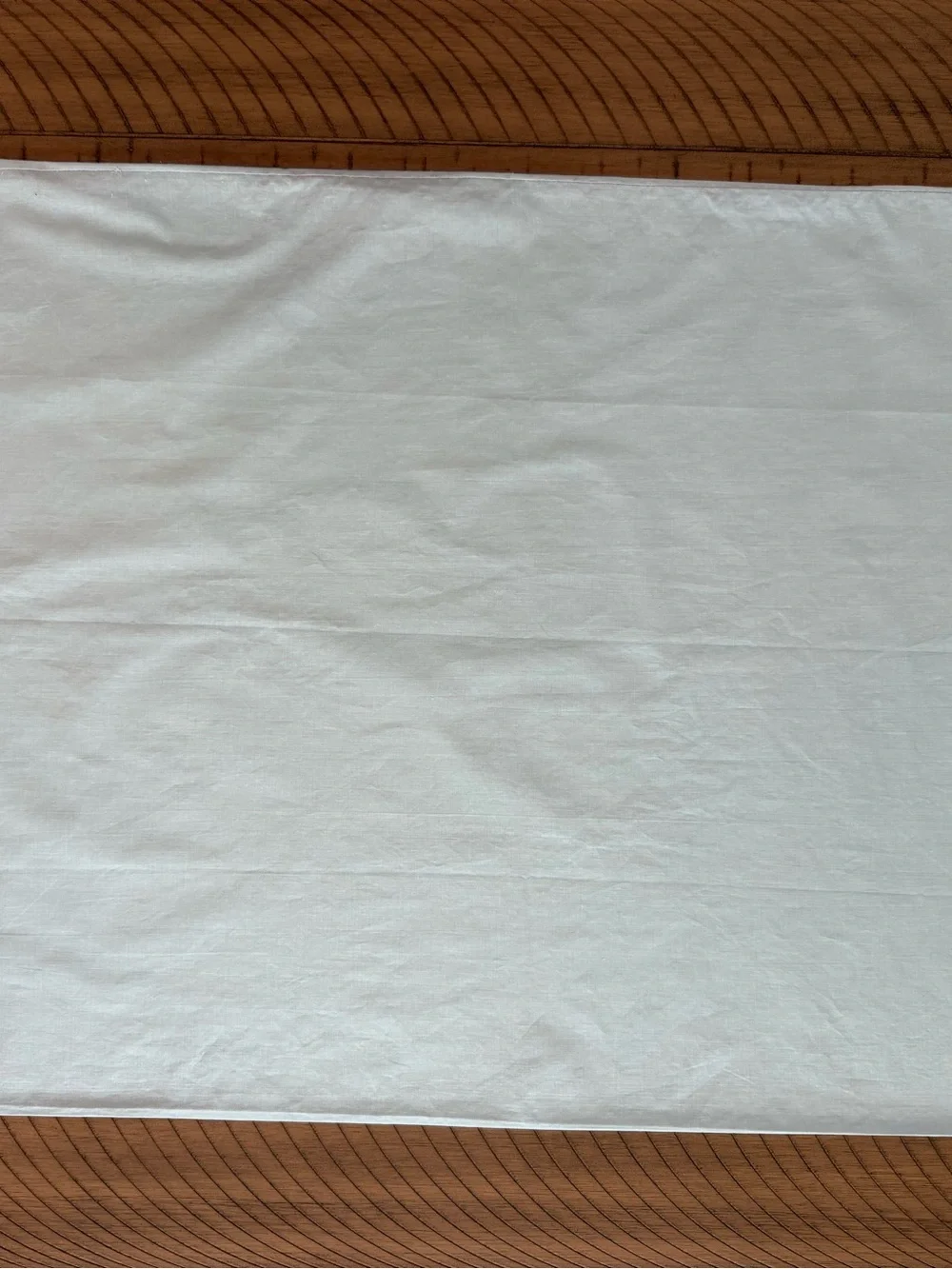 Vintage Light blue Dan River Pillowcases set of 2