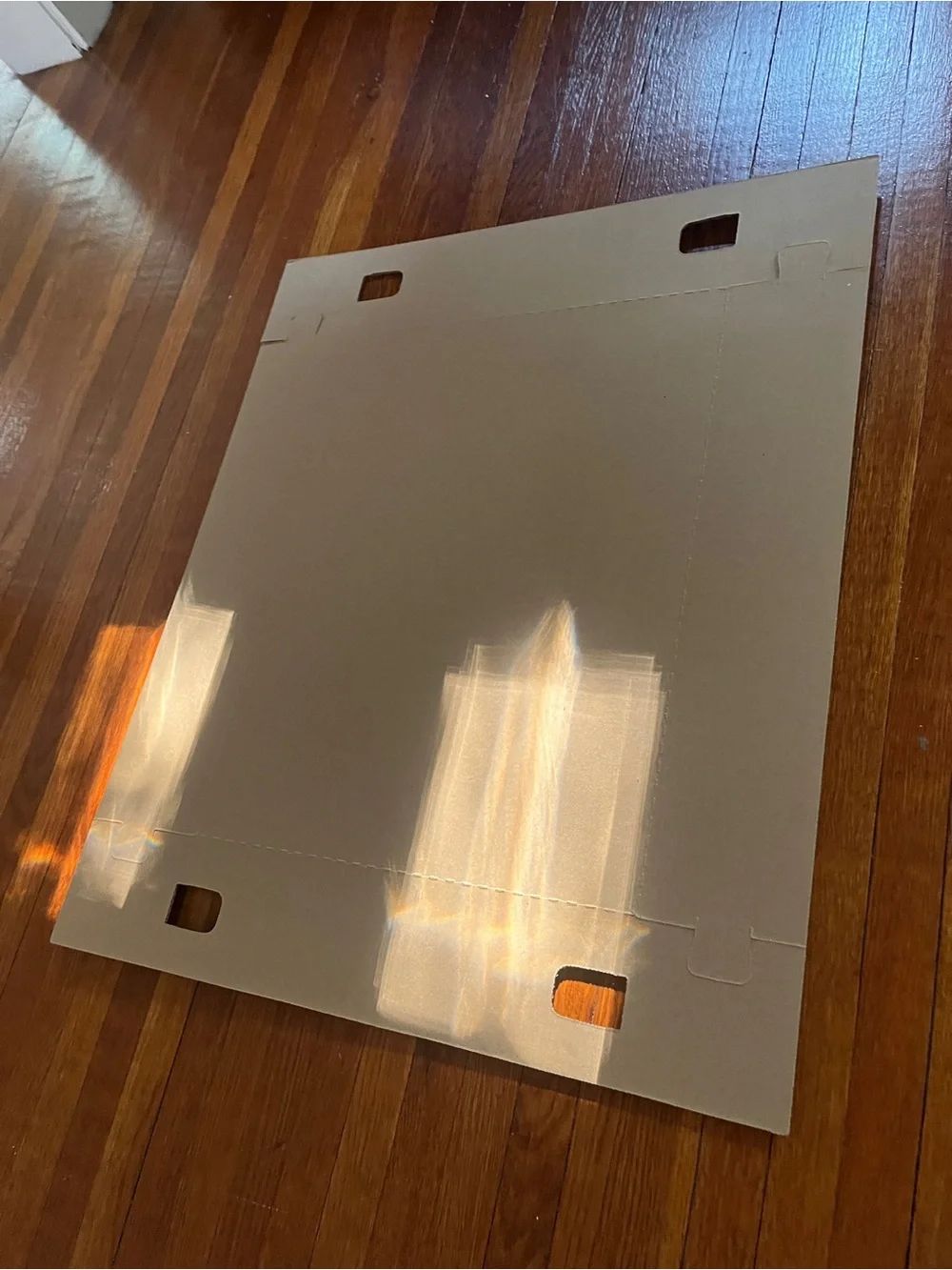 20” x 15” x 4” sturdy cardboard trays 20 ct