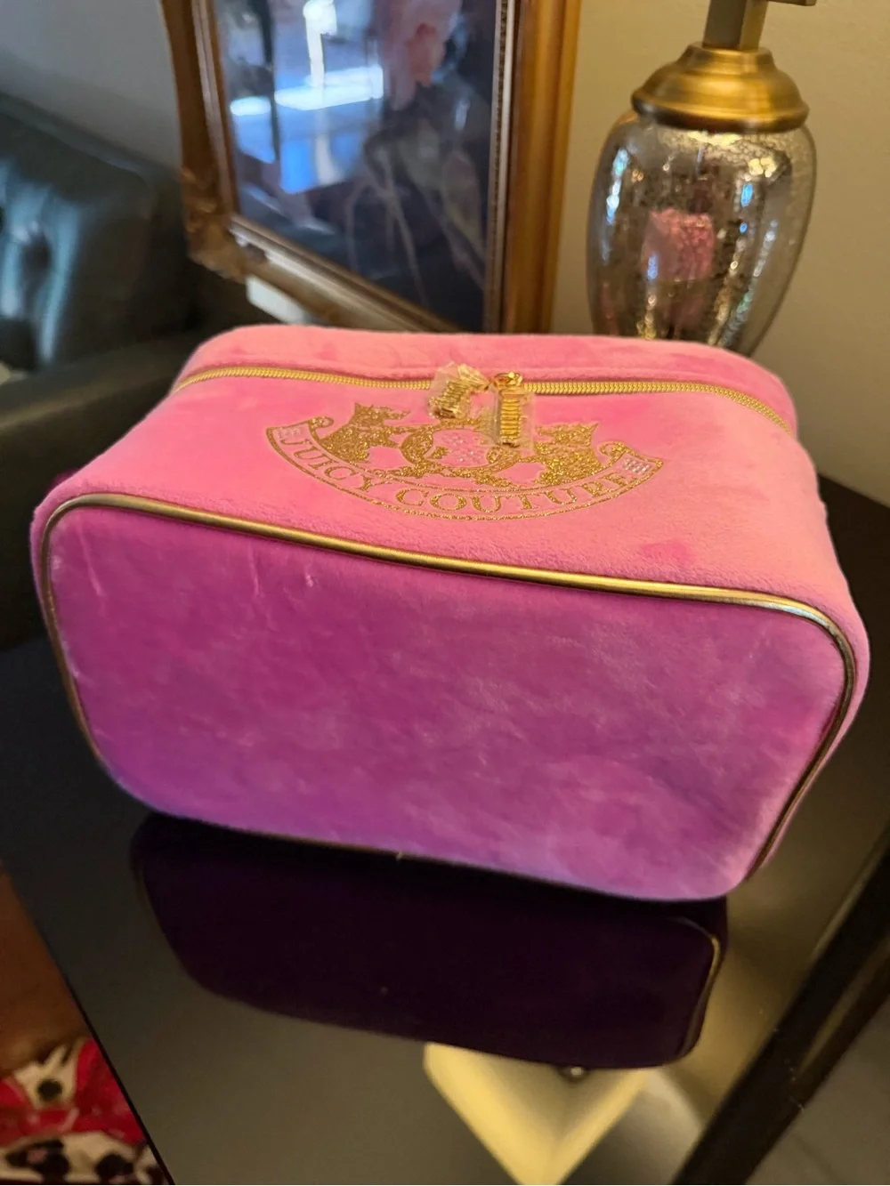 NWOT Juicy Couture Pink Plush Cosmetic Train Case with Gold Trim Scottie Dogs