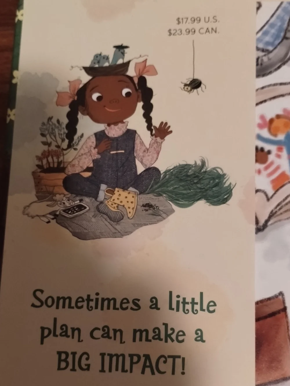Mary Had a Little Plan NEW Book