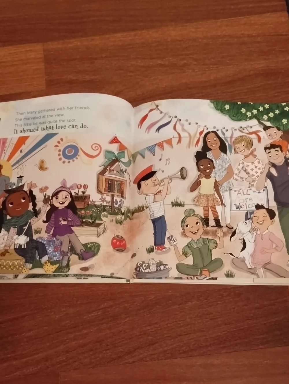 Mary Had a Little Plan NEW Book