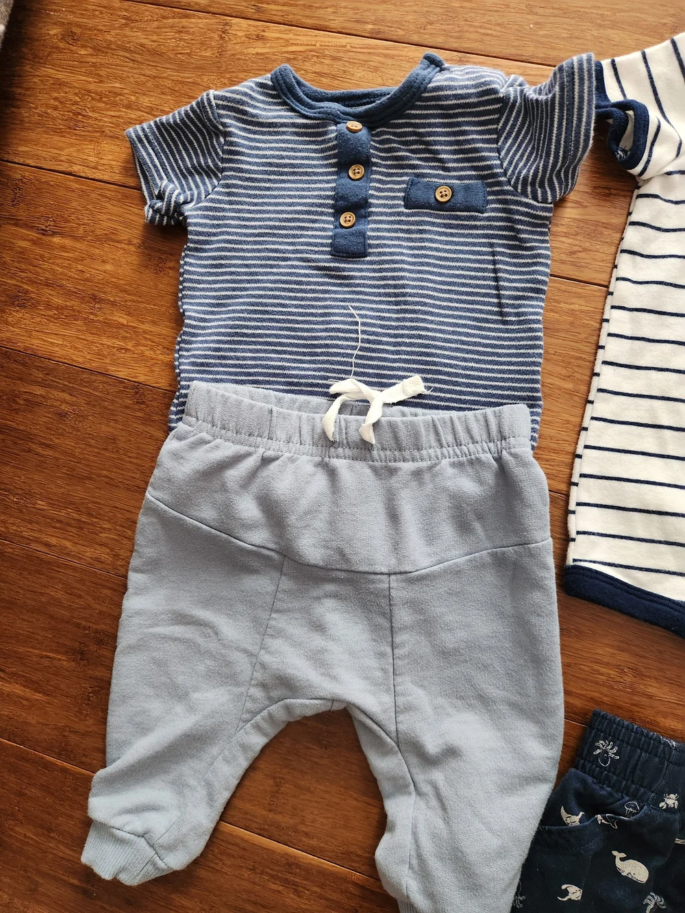 Carters great lot