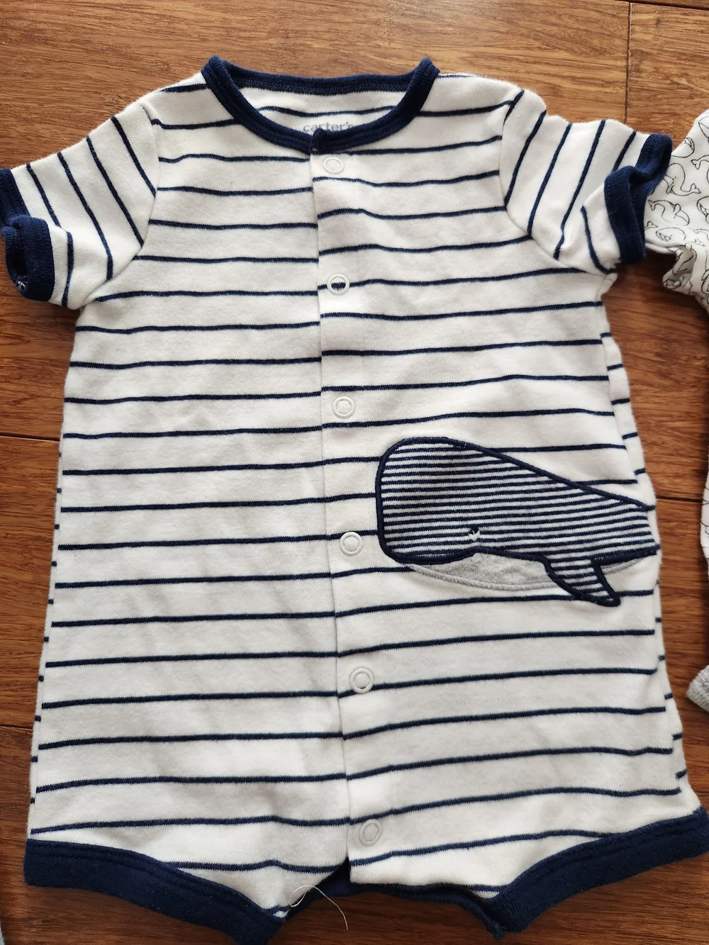 Carters great lot