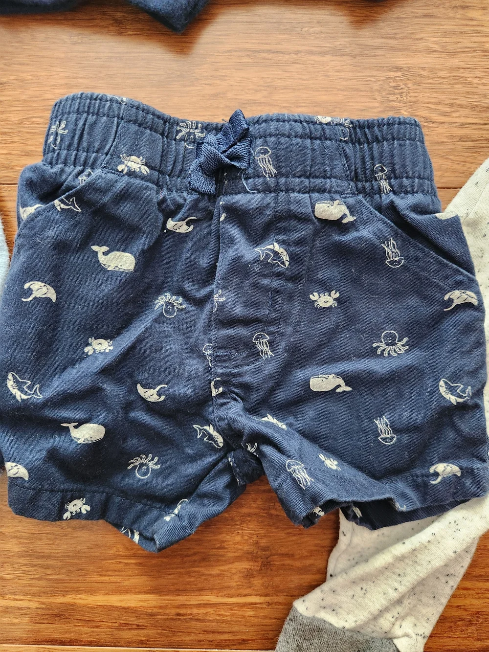 Carters great lot