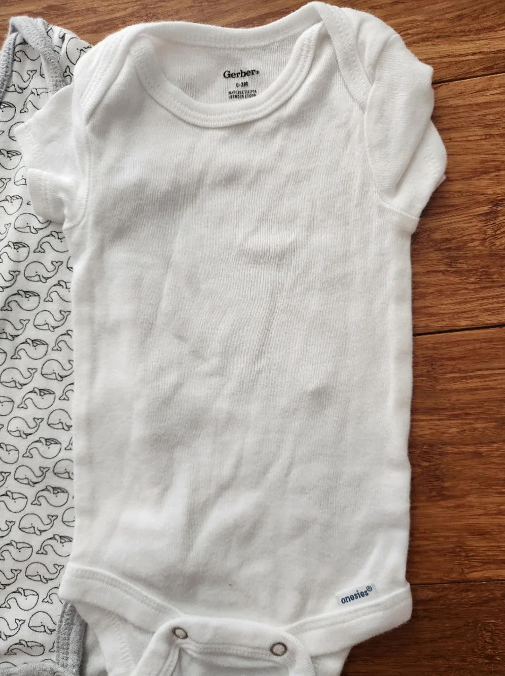 Carters great lot