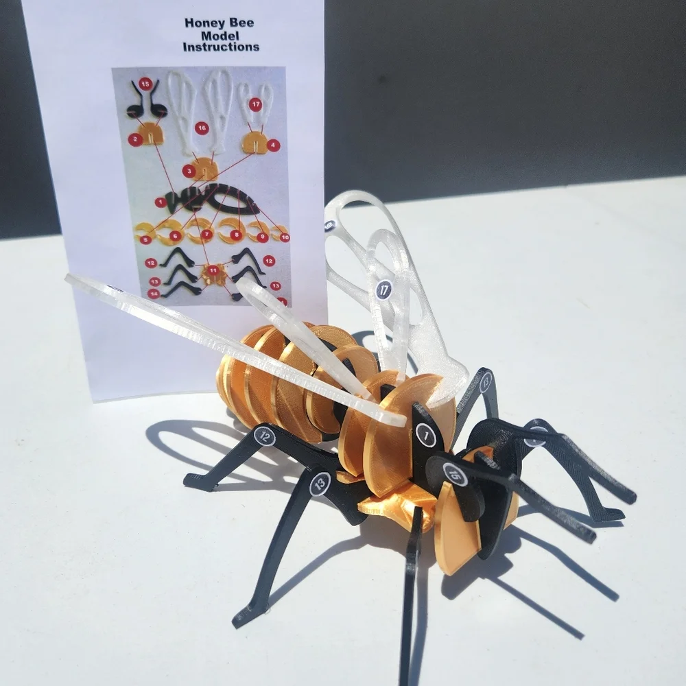 Handmade bee model