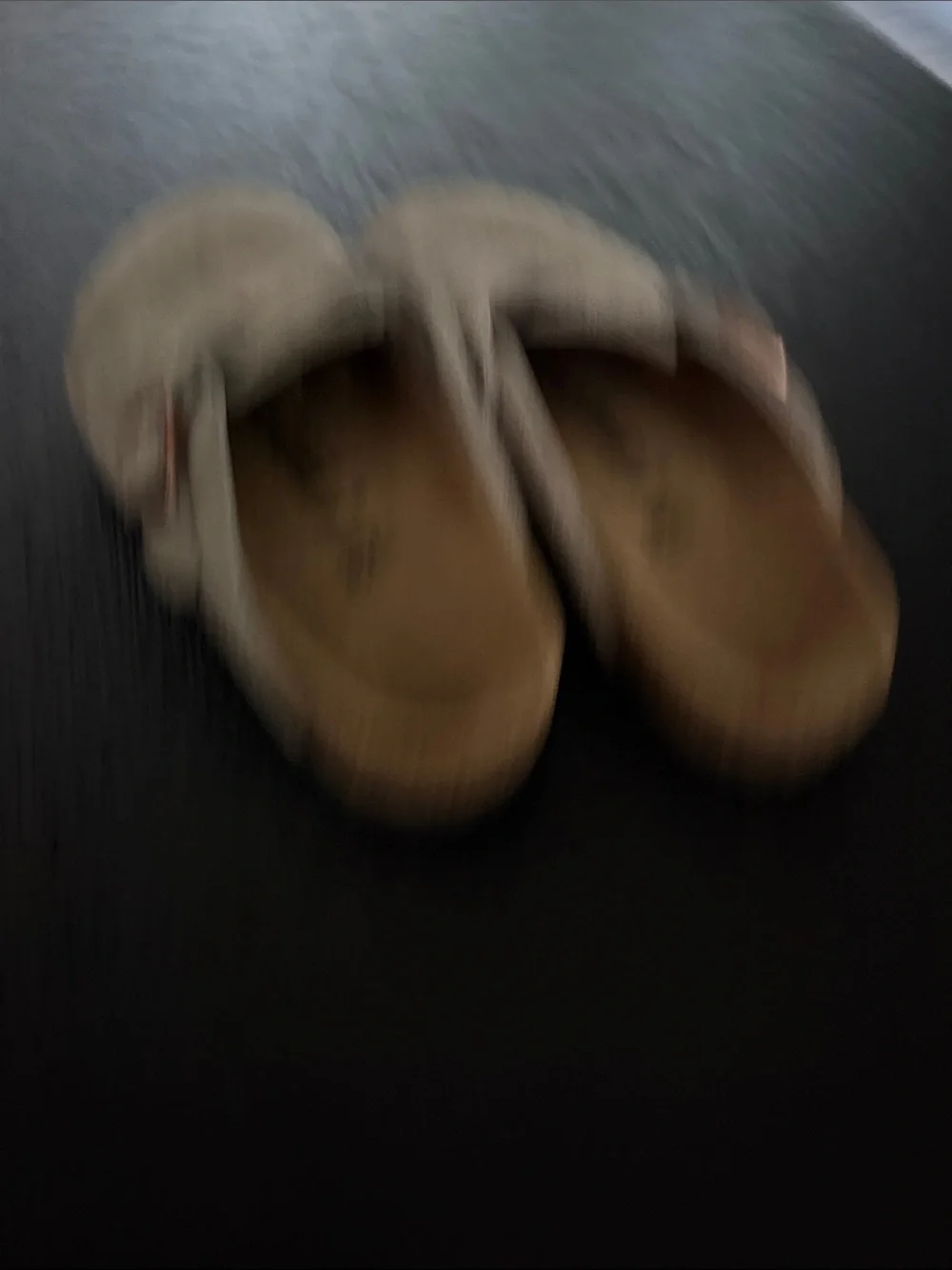 Birkenstock lightly used