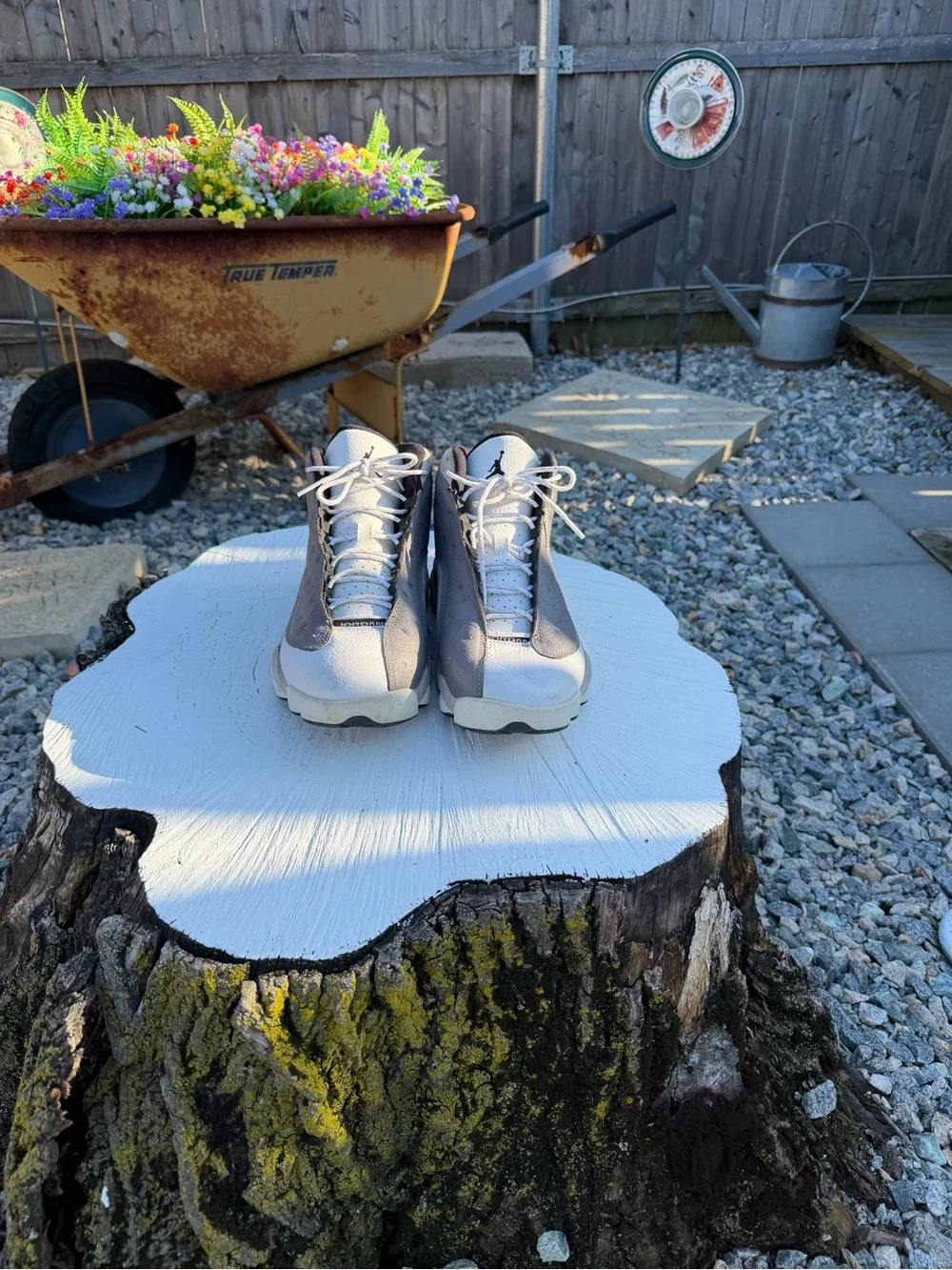 Jordan 13