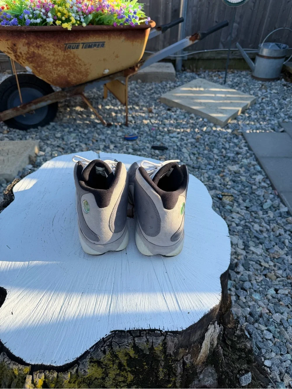 Jordan 13