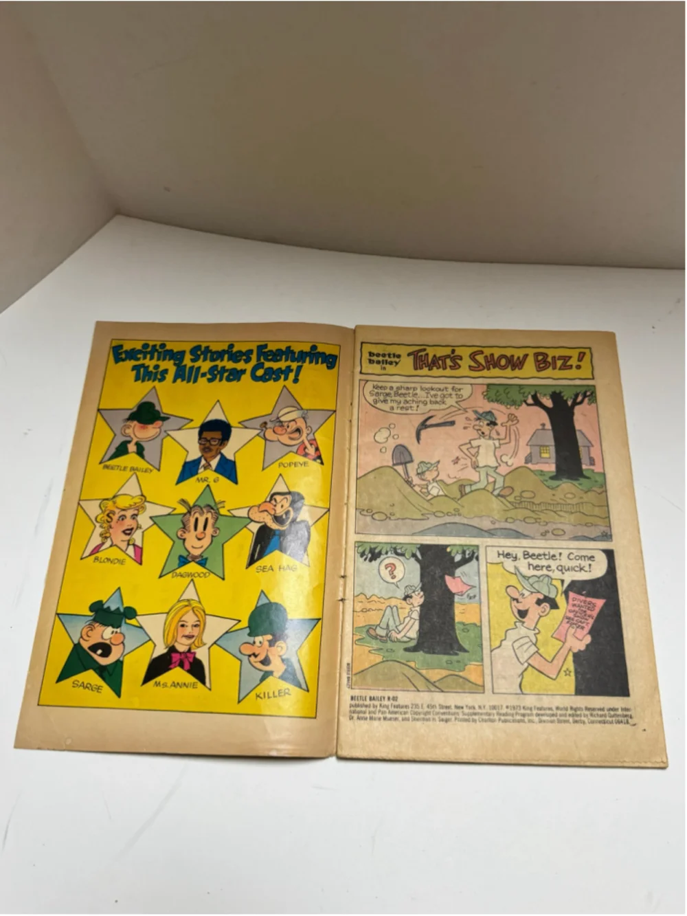 King Features beetle bailey