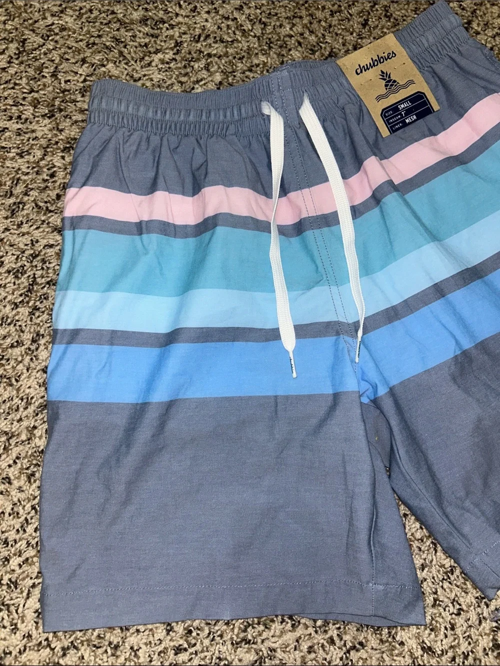 chubbies men swim
