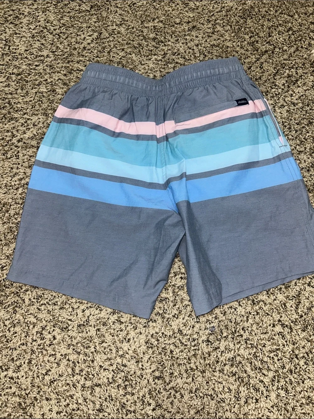 chubbies men swim