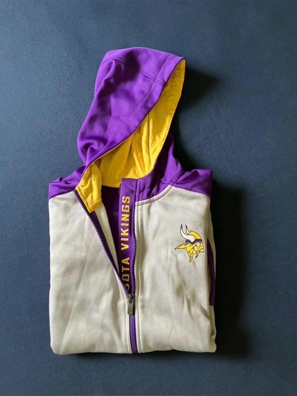 NFL minnesota vikings