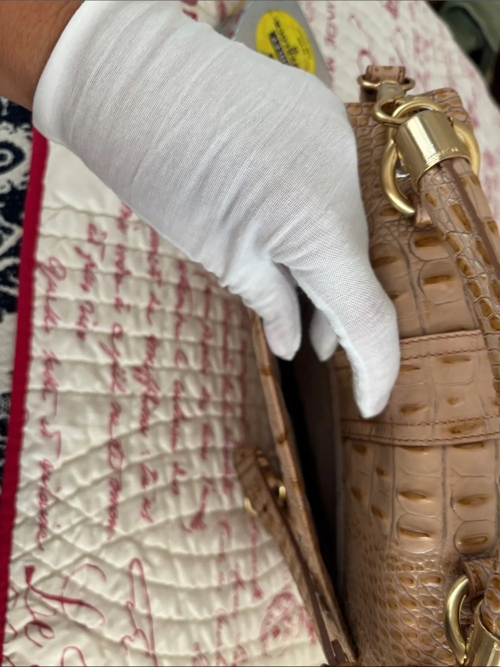 Brahmin preloved interior