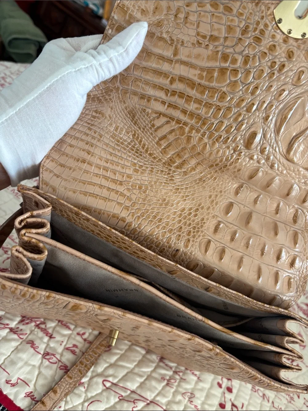 Brahmin preloved one