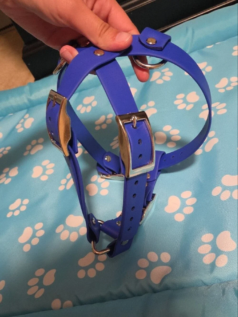 N/A dark blue