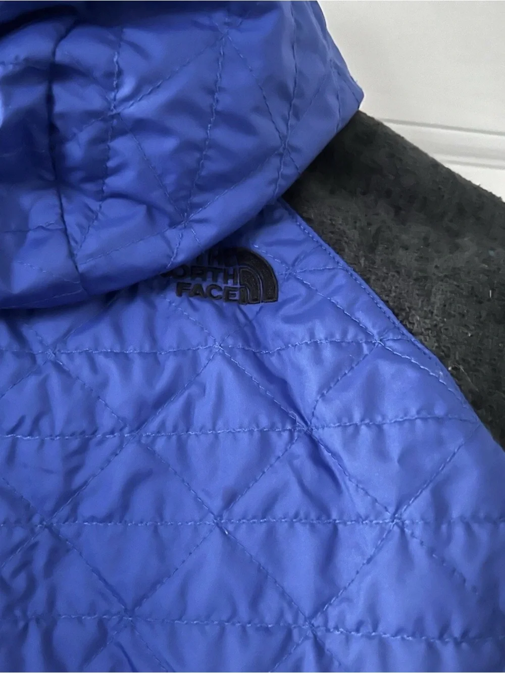 The North Face Jacket Toddler 4T Blue And Black Hooded