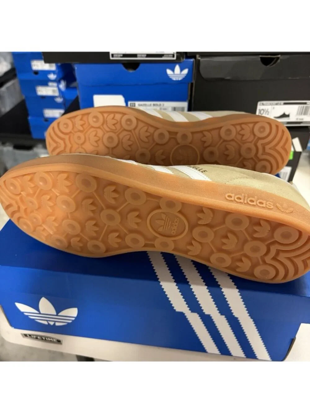 adidas Gazelle Beige and White with Gum Sole