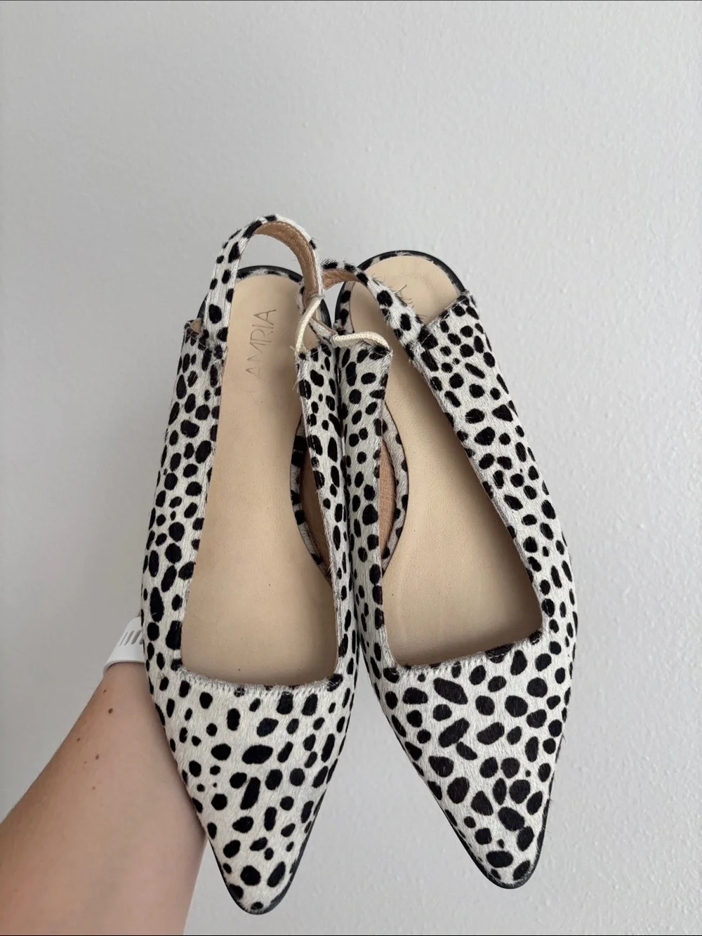 Amria pointy toe