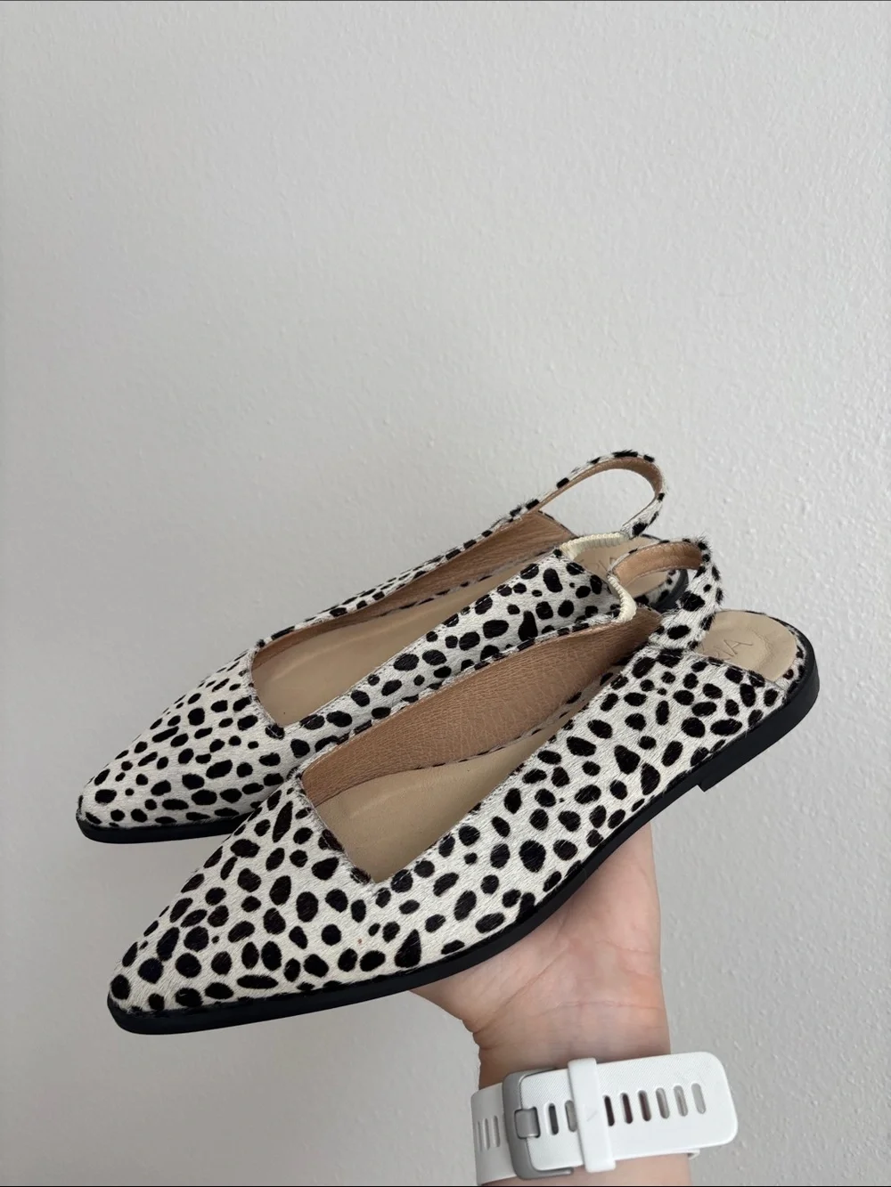 Amria pointy toe