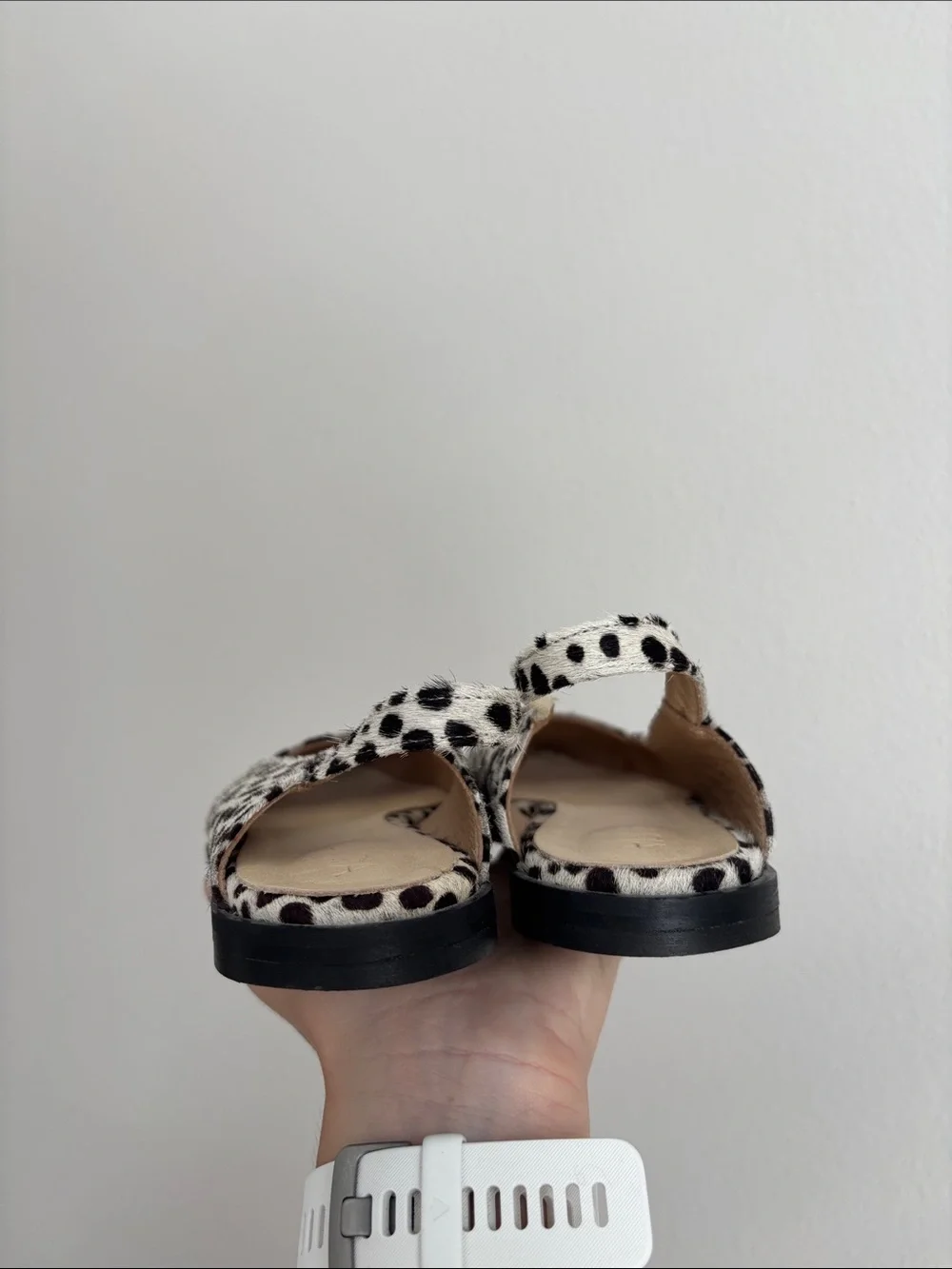 Amria pointy toe