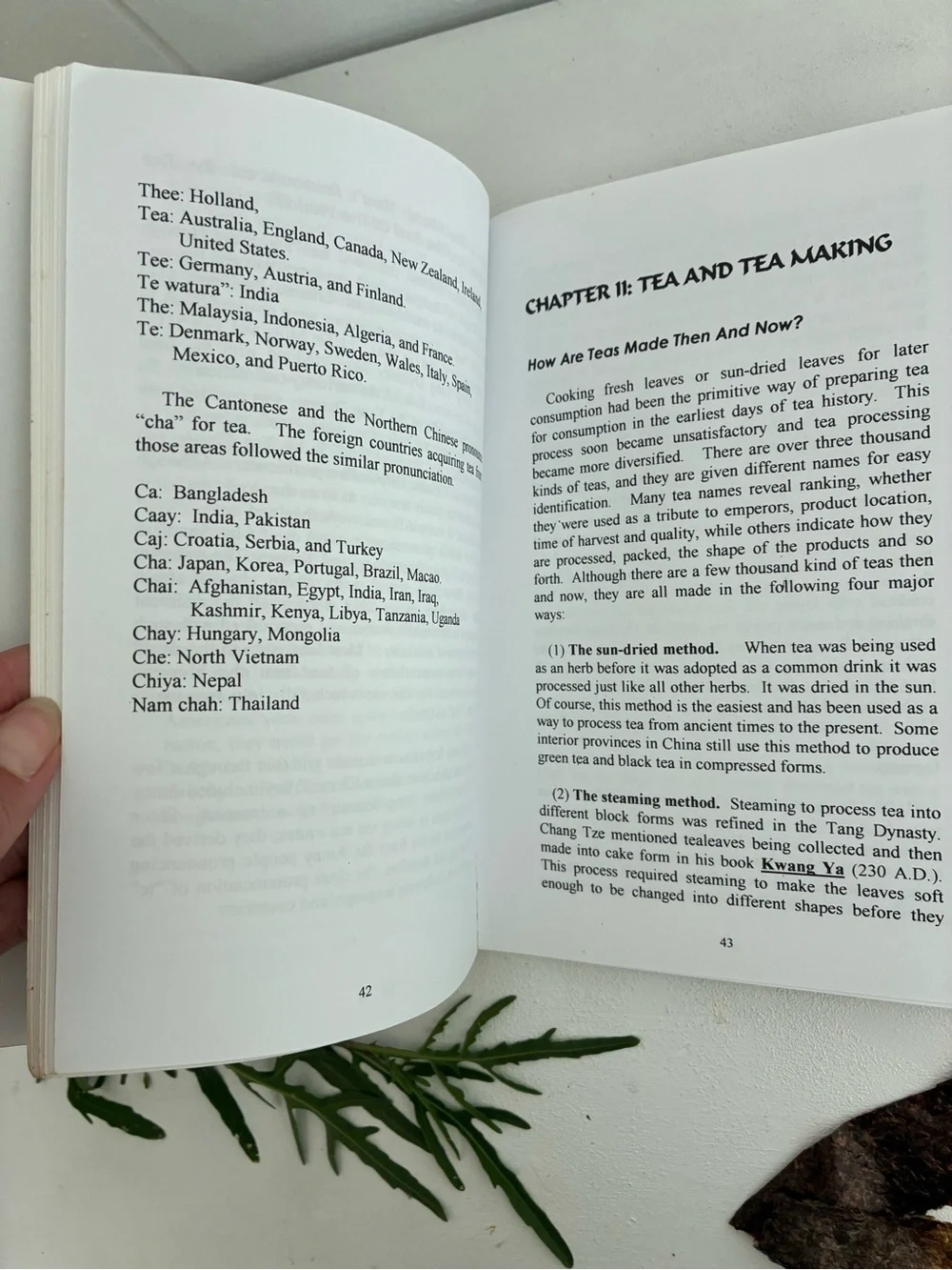 Yellow Emperor Books charming coffee