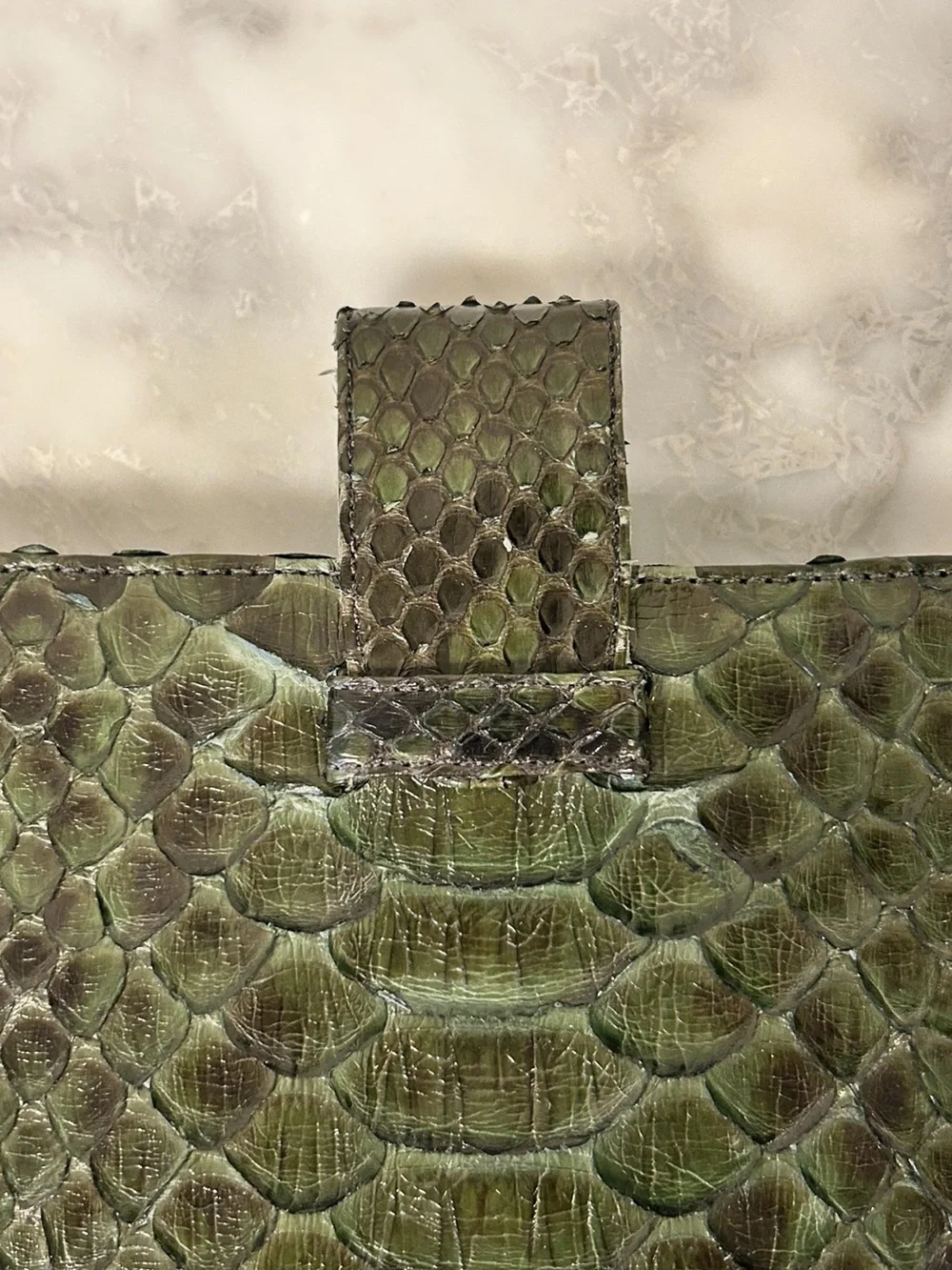 Snakeskin Tablet/iPad Case • Cavage