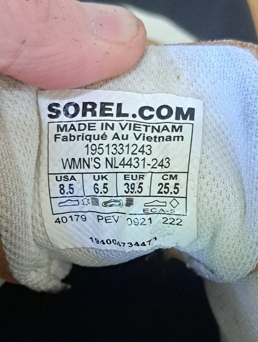 Sorel out about