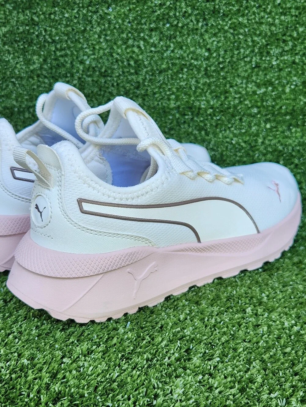 Puma pacer future