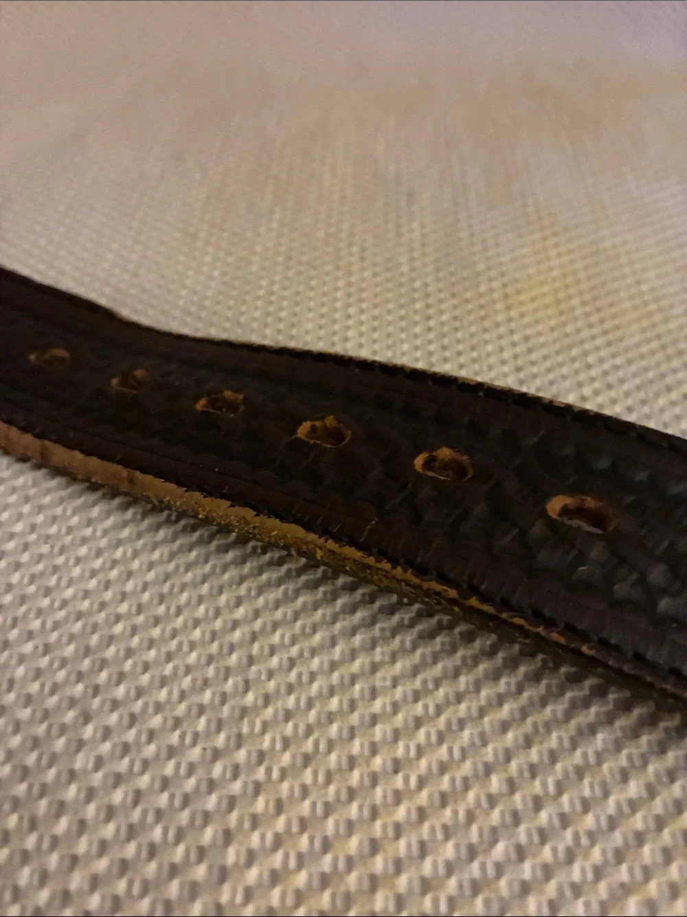 Wrangler western true