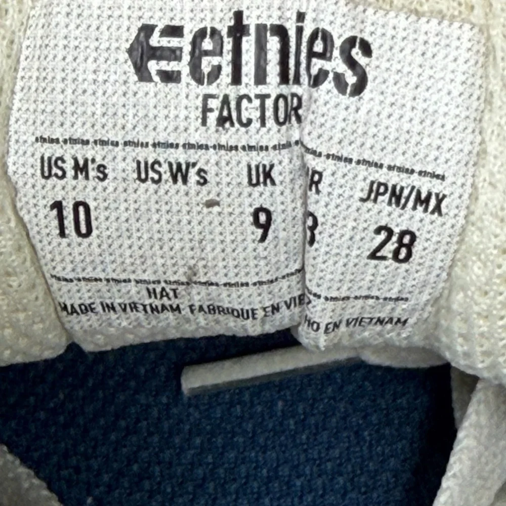 Etnies skate 10