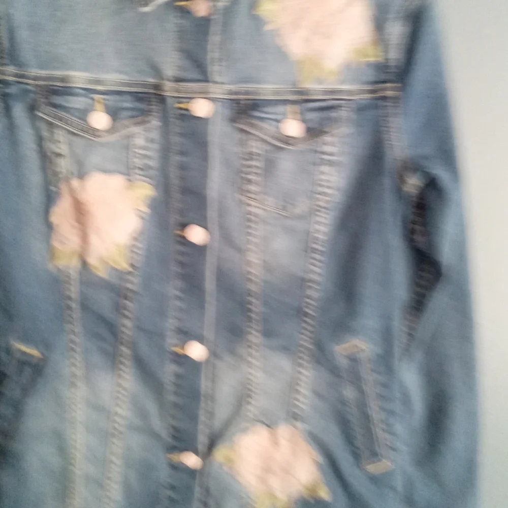 Denim Jacket Embroidered Floral‎ Applique Light Wash Distressed Button Up