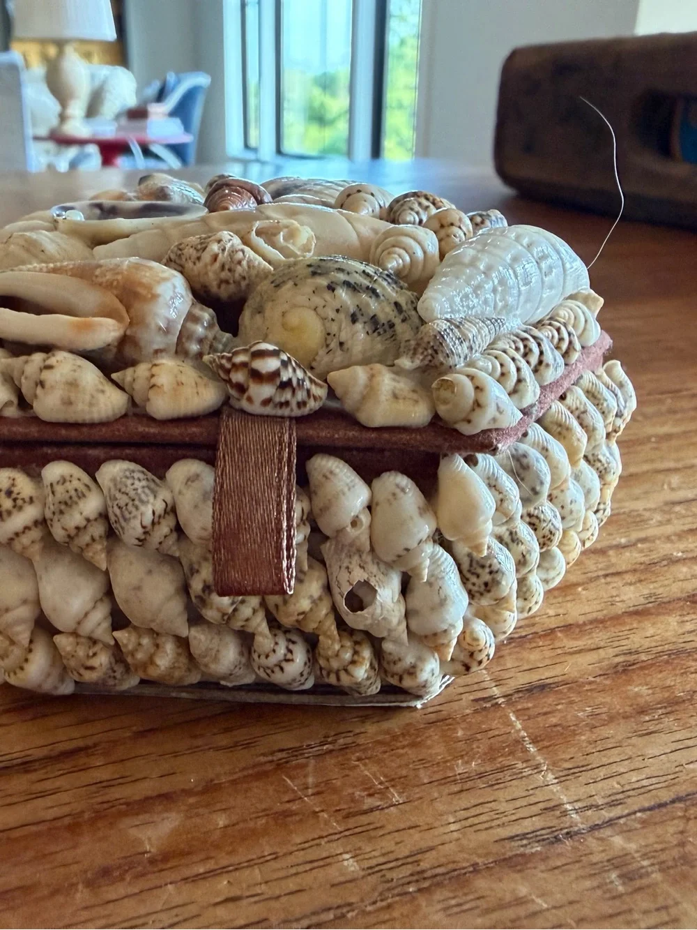 Source Unknown vintage seashell