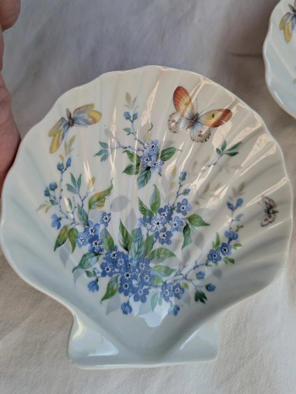Limoges beautiful shell