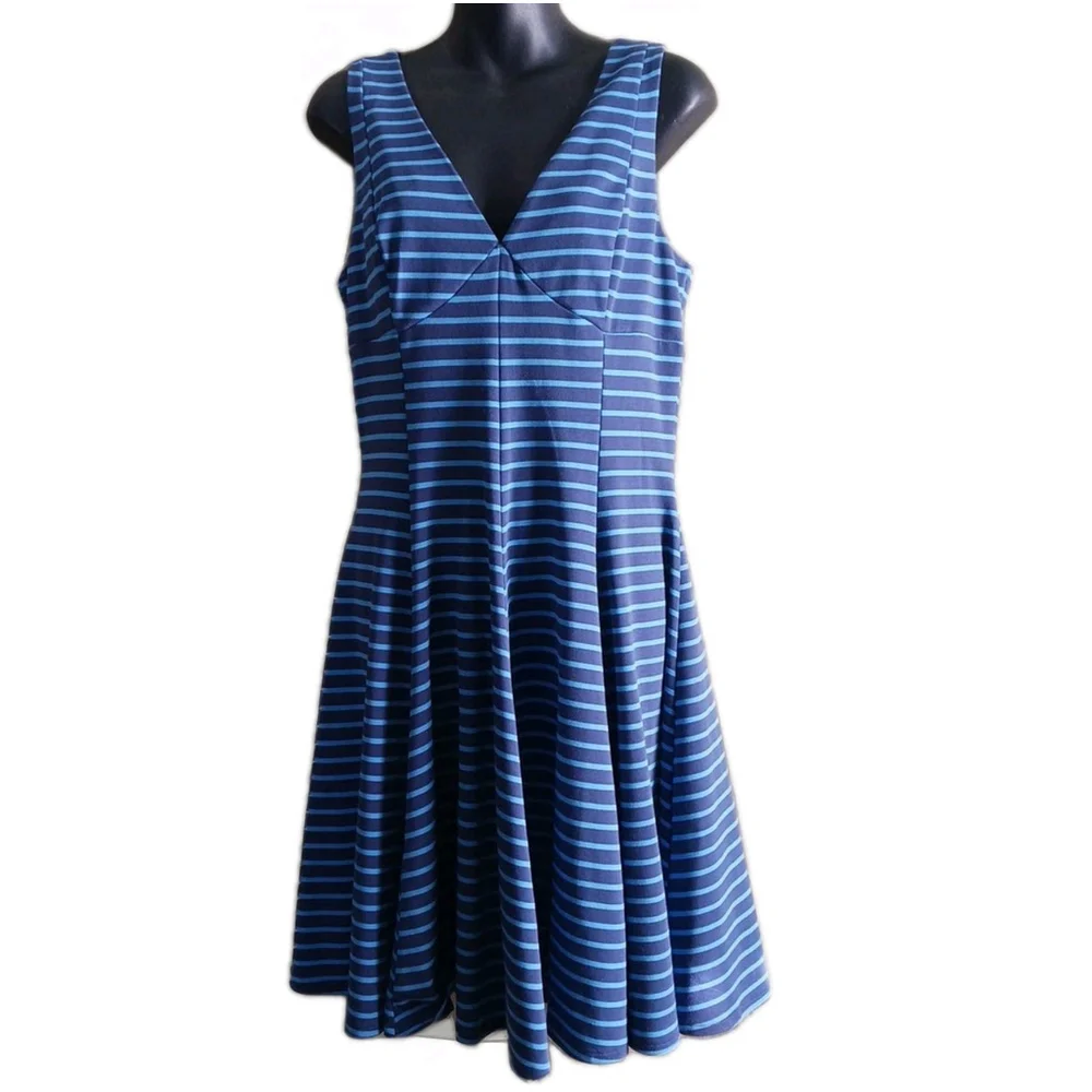 Peter Som Blue Stripe Sleeveless Fit and Flare Dress Size 10