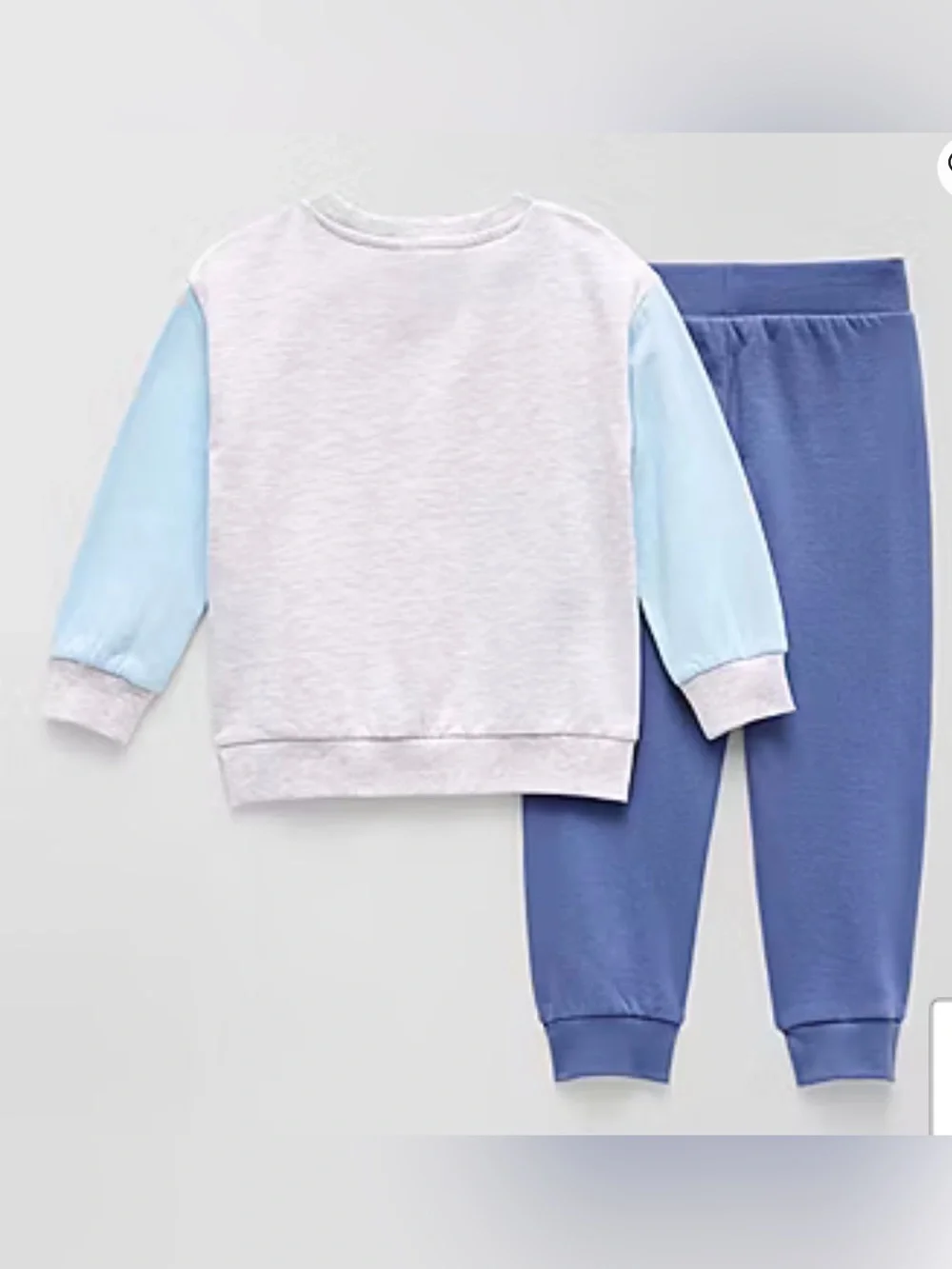 Bluey pieces set